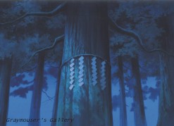 cedar spell broken background