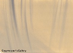 brown drape background