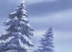 two snow covered pines background