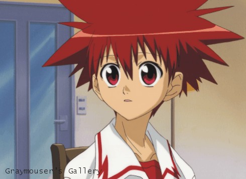 daisuke cel