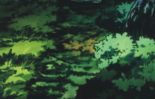 first forest screencapture