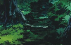 second forest screencapture