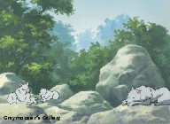 small first sequence ayame