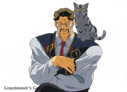 shoulder position cel