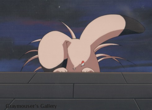 shiina cel