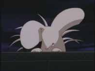 small shiina screencap