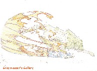 thumbnail link to hyouki