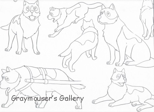 dog sketch