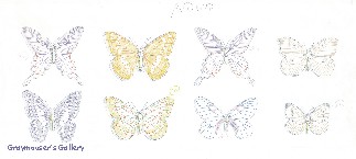thumbnail link to butterflies