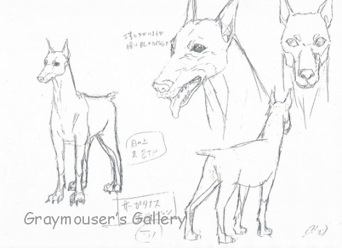 doberman sketch