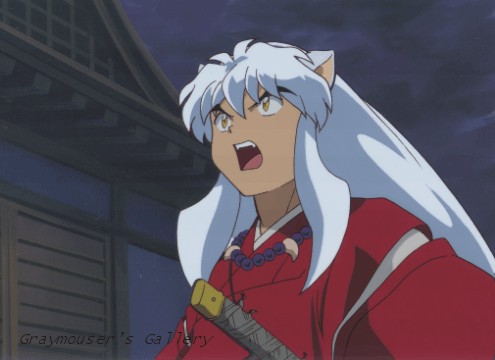 inu yasha yelling cel